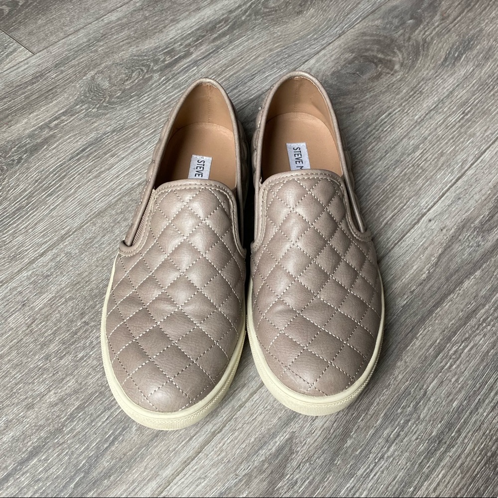 Steve Madden | Ecentrcq Sneaker